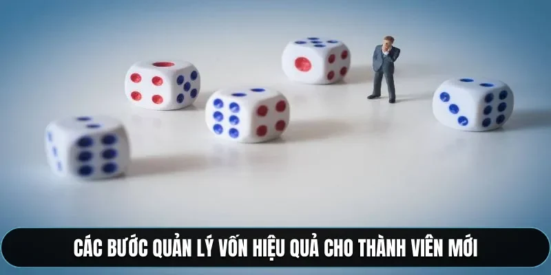 Các bước quản lý vốn hiệu quả cho thành viên mới