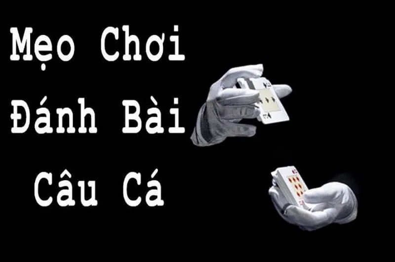 Bài câu cá