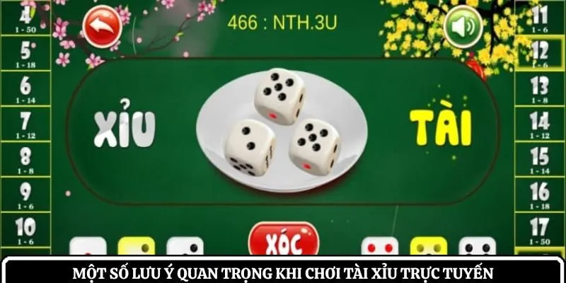 Một số lưu ý quan trọng khi chơi tài xỉu trực tuyến